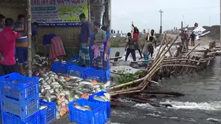 সাতক্ষীরায় ঘের ভেসে ক্ষতিগ্রস্ত কয়েক হাজার মাছ চাষি